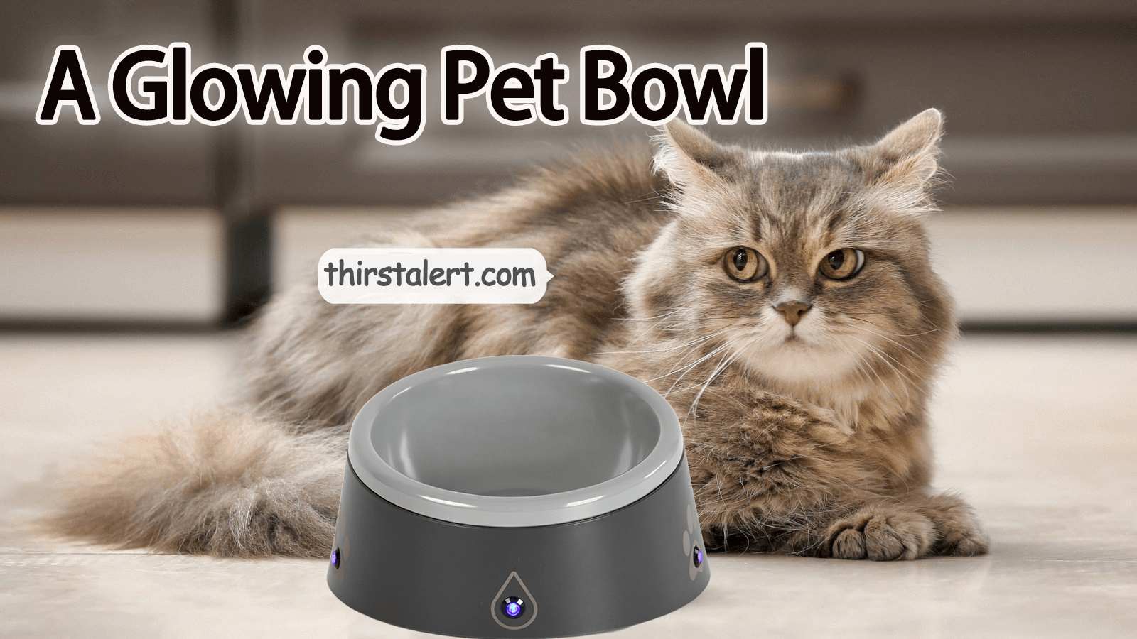 Load video: 2023 Best Pet Water Bowl work
