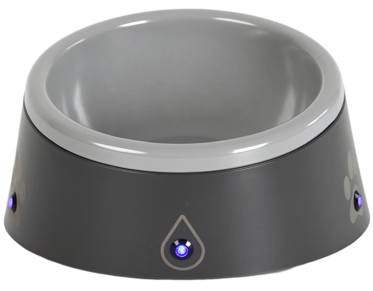 ThirstAlert Smart Pet Water Bowl